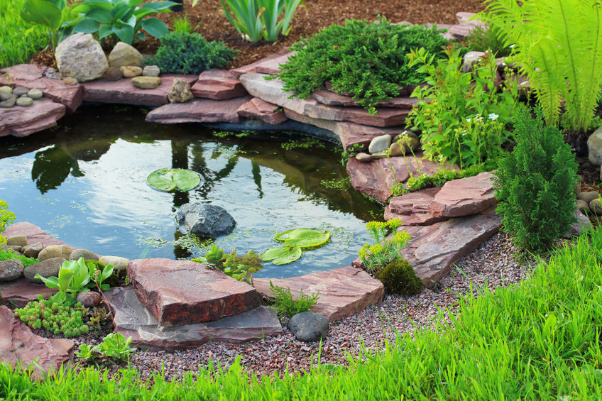 Gartenteich anlegen Praktische Tipps für Selbermacher!