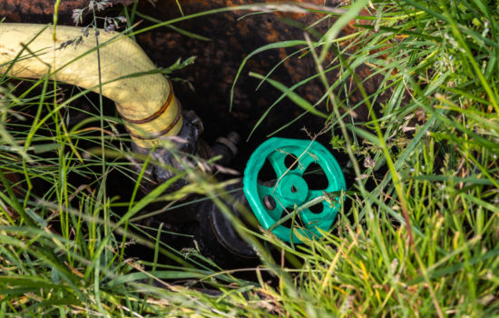 wasserleitung im garten verlegen