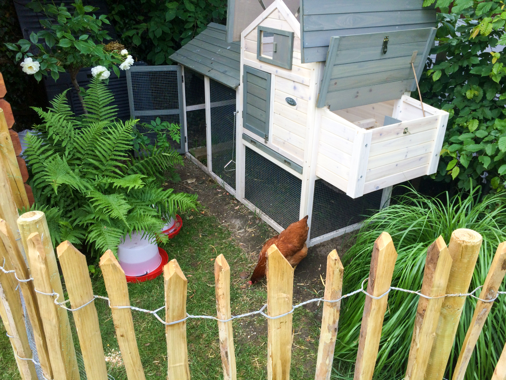 Wasserleitung Im Garten Verlegen Schritt Fur Schritt Anleitung