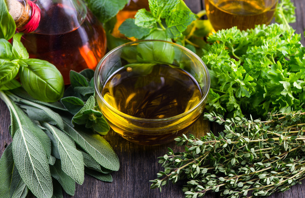 25-medicinal-trees-to-harvest-for-homemade-medicine