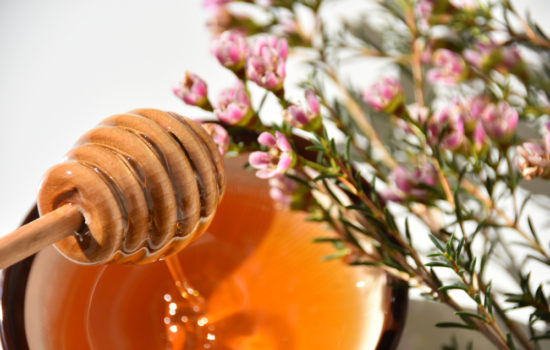 manuka honig
