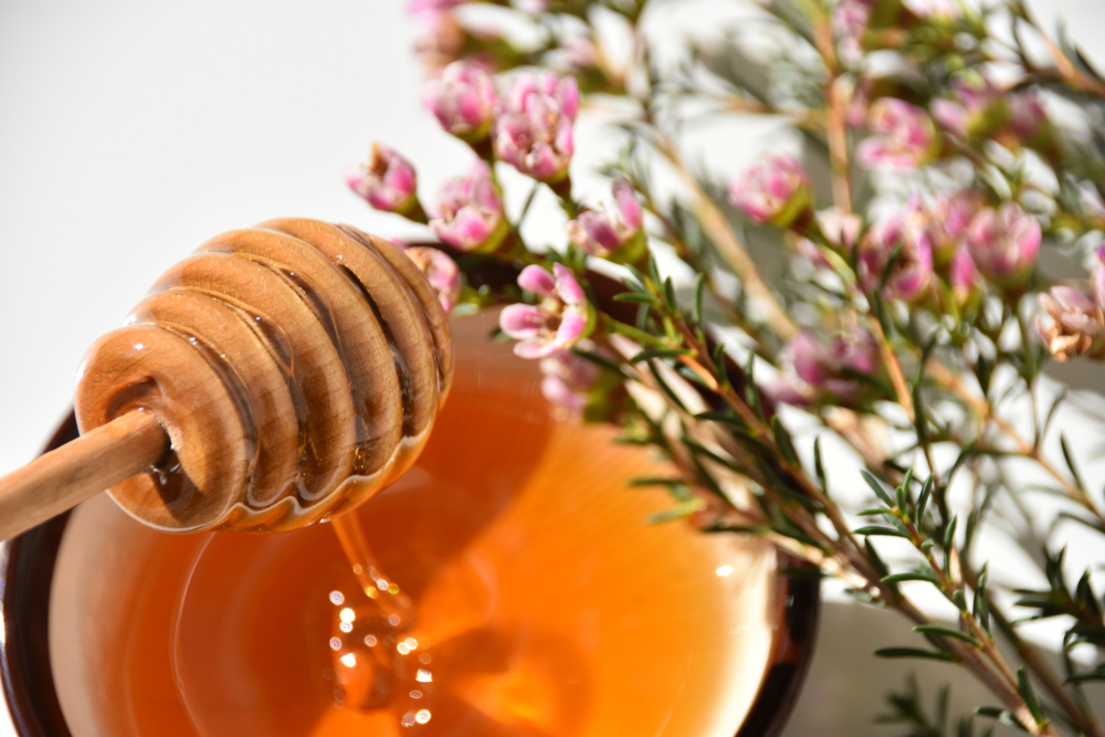 Manuka Pflanze Honig mit besonderen Eigenschaften richardsgarten.de