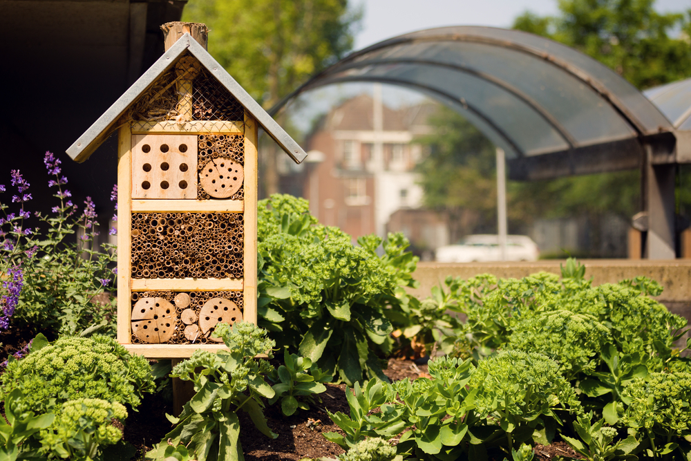 bienenhaus zur ansiedlung