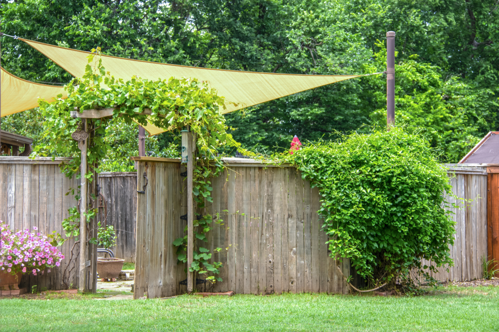 5 Ideen für Sonnenschutz im Garten richardsgarten.de Das Gartenmagazin