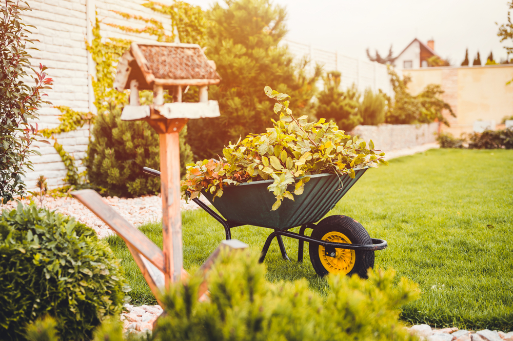 Garten entrümpeln Unsere Tipps für mehr Ordnung richardsgarten.de
