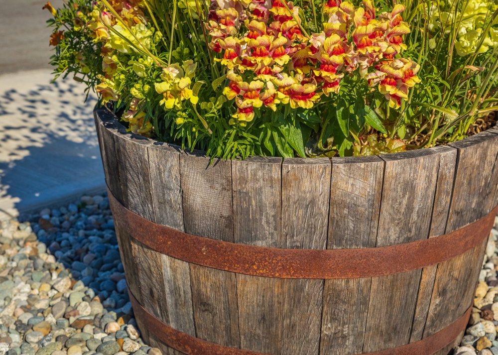 Pflanzkübel und Blumenkasten kreativ selber bauen Holz, Beton und